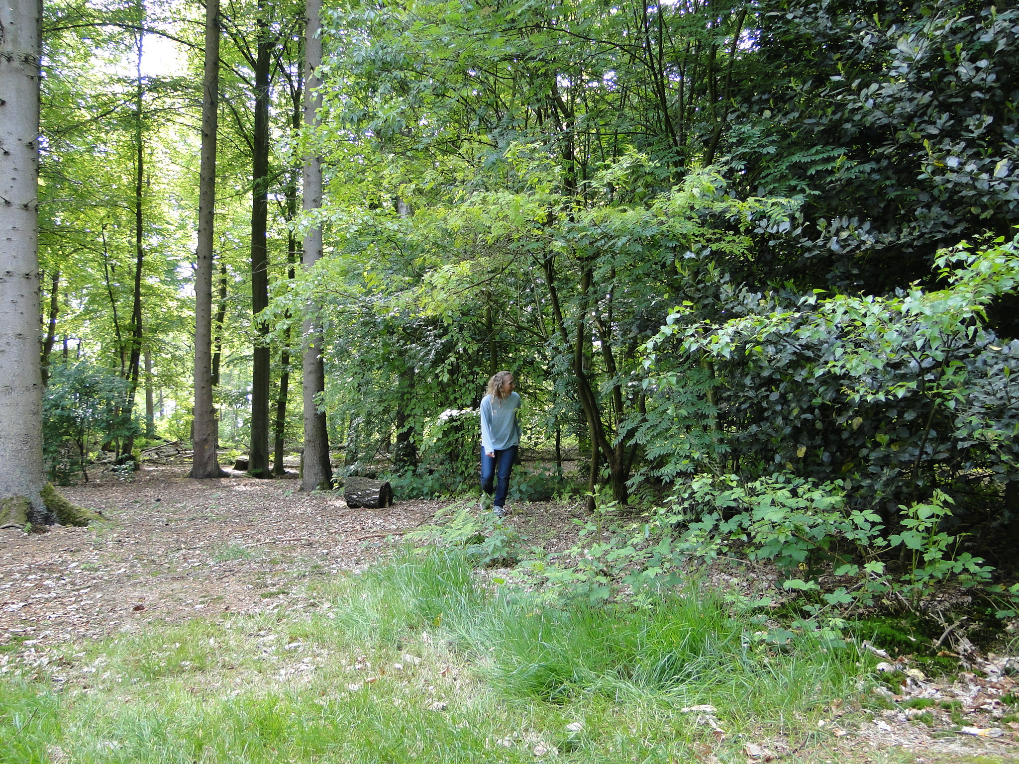 HWK 2012 105.jpg